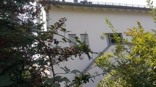 Petite Bellevue II - Baden-Baden - 6