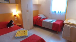 VVF Le Pays Cathare Carcassonne - 3