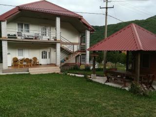 Apartment Mitric - Plužine - 0