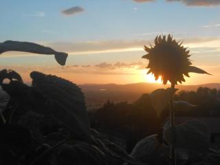 B&B Il Sentiero di Assisi - Asís - 3