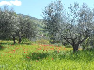 B&B Il Sentiero di Assisi - Asís - 7