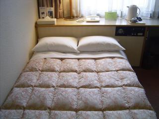 Ageo Tobu Hotel - Ageo - 2