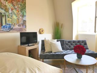 Osteiner Hof by The Apartment Suite - Magonza - 8