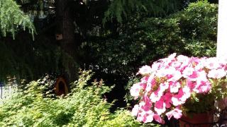 B&B Il Paiolo - 4