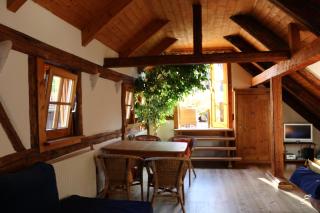 Bio-Ferienwohnung Ellensohn - Lindau - 7