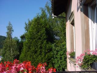 chambres d'hotes " Le Magnolia " - Sainte-Croix-aux-Mines - 3