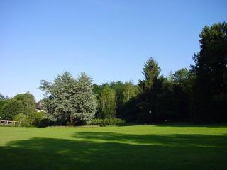 chambres d'hotes " Le Magnolia " - Sainte-Croix-aux-Mines - 6