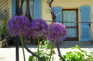 B&B Cascina Marie - Bricherasio - 3
