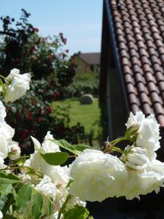 B&B Cascina Marie - 4