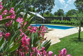 Villa Diana - Donji Proložac - 7