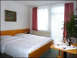 Gasthaus & Pension Zum Hirsch - Gehlberg - 4