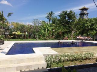 Taman Lily's Hotel - Lovina - 0