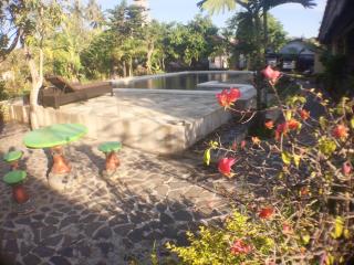 Taman Lily's Hotel - Lovina - 3