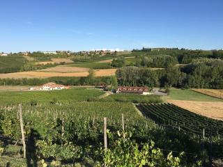 Sori San Giovanni - Isola d'Asti - 3