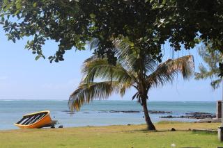 Whynot Mauritius - 0