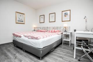 Hotel Dvur Hoffmeister - Velké Číčovice - 6