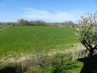 Hostellerie du Parc - Labarthe-Inard - 8
