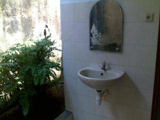 Bayumantra Bungalows - Lovina - 6