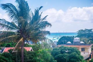 The Palm Residence - Grand-Baie - 5