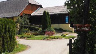Familienparadies Zeislerhof - Glanegg - 8