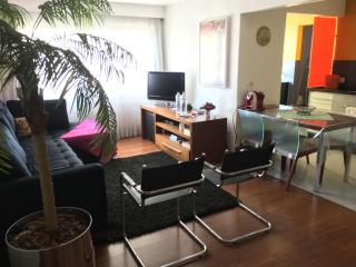 AL - Apto fino, aconchegante e informal - São Paulo - 8