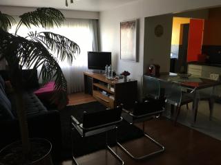 AL - Apto fino, aconchegante e informal - São Paulo - 9