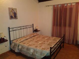 Agriturismo Il Vignone - 5