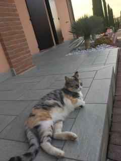 La Corte D'Emilio B&B - 2