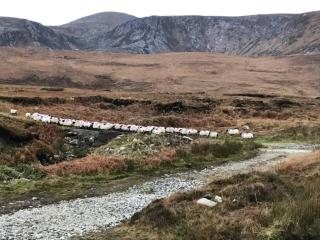 High Road Cottage - Achill - 4