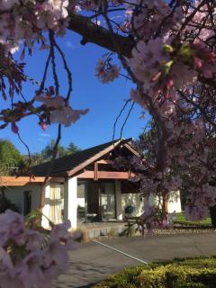 Olive Hill Guest Lodge - 9