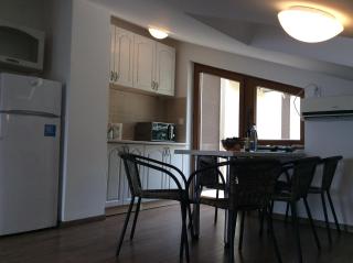 Olive Terrace Apartments 3 - Budva - 1