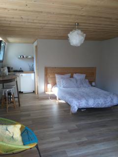 Le chalet du Lac - Doussard - 2