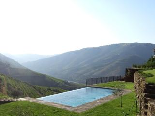 Quinta da Gricha - Ervedosa do Douro - 0