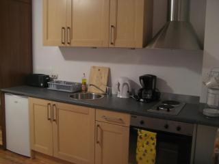 Mountain View Resort Studio - 1