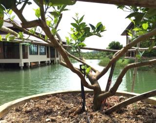 Lantala Residence - Natai Beach - 0