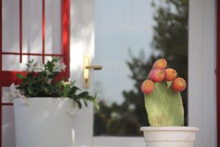Trullo Riccardo - Ostuni - 4
