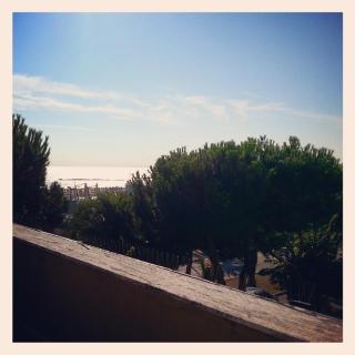 Rosetoholidays - Roseto degli Abruzzi - 4