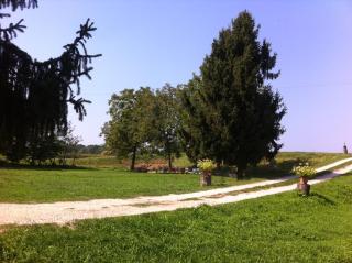 B&B DE CAROL - Gramignazzo - 2