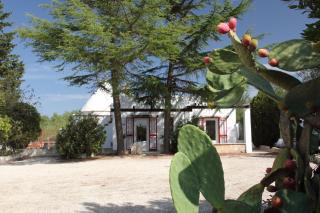Trullo Riccardo - Ostuni - 8