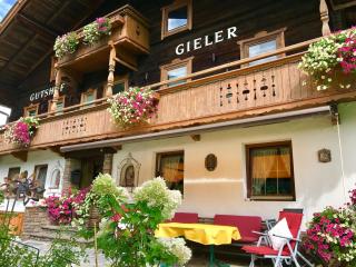 Gielerhof - Zell am Ziller - 8