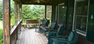 The South Glenora Tree Farm - Dundee - 3