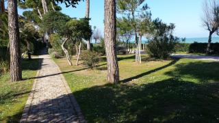 Vista mare - Pineto - 1