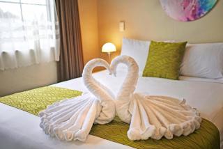 Anglesea Motel and Conference Centre - Hamilton - 9
