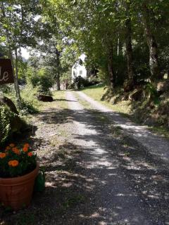 B&B Boscoverde - Pievepelago - 8