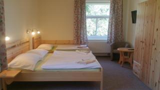 Pension U Koupaliště - Tisá - 2
