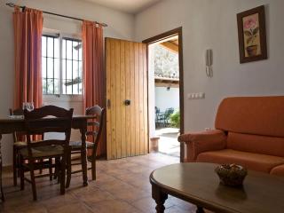Casa Marinas - Conil de la Frontera - 4