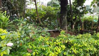 Wayanad Homestay - 5