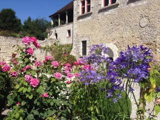 Demeure des Vieux Bains - Provins - 5