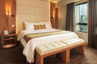 Hotel Regal Pacific Santiago - 9