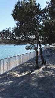 Apartmani Latin Jezera - Jezera - 7